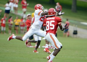 Jul 26, 2014; St. Joseph, MO; Chiefs cornerback Chris Owens (20) breaks up a pass intended for wide receiver Frankie Hammond (85) during training camp. Credit: John Rieger-USA TODAY Sports